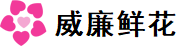 威廉希尔唯一官方网站