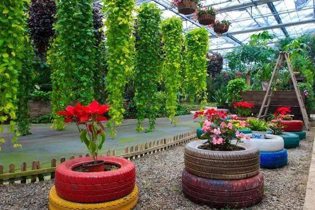 【创森知识】春天买花有口诀记住“4要4不要”花对钱才能买“好”花！(图6)