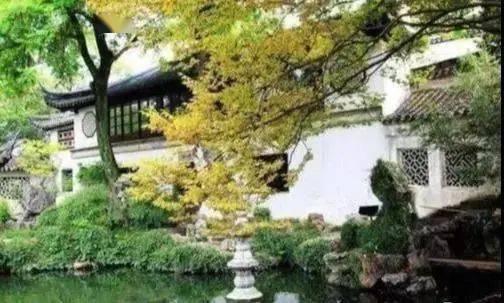 庭院植物风水学！不得不看！看懂了还怕你的花园不够出彩？(图3)