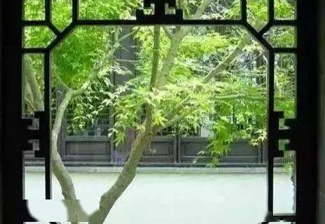 庭院植物风水学！不得不看！看懂了还怕你的花园不够出彩？(图5)