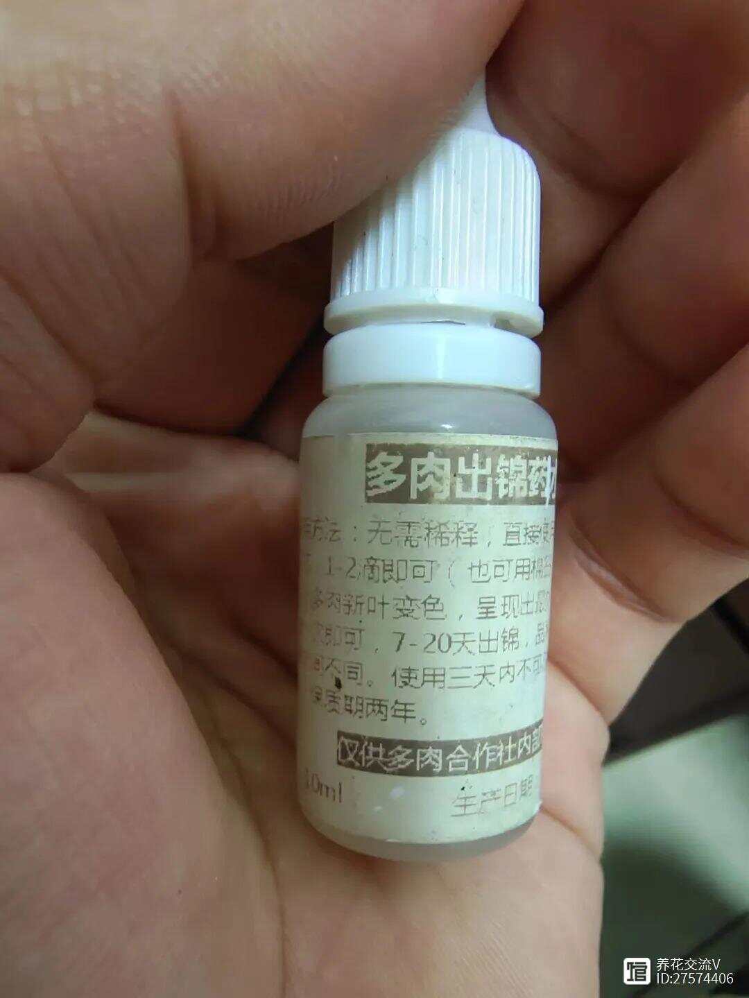 网上买花VS花店、花市买花优缺点对比看完就更了解你适合哪种了(图11)