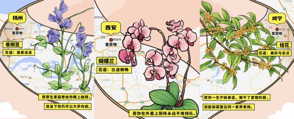 你今天收到的花来自哪儿？淘宝发布《淘宝鲜花地图(图2)