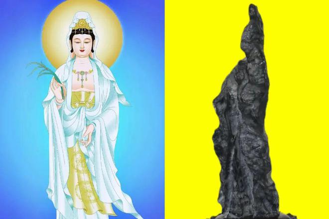 买花途中偶遇黑石头刷洗后大变身专家直称国宝不敢估价(图2)