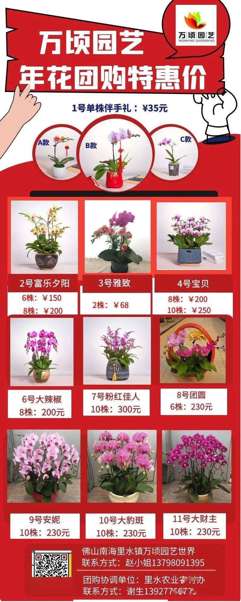 最全年花采买攻略！南海区长威廉希尔WilliamHill带头买年花透露这些助农举措→(图9)