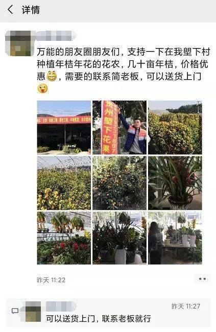 最全年花采买攻略！南海区长威廉希尔WilliamHill带头买年花透露这些助农举措→(图14)