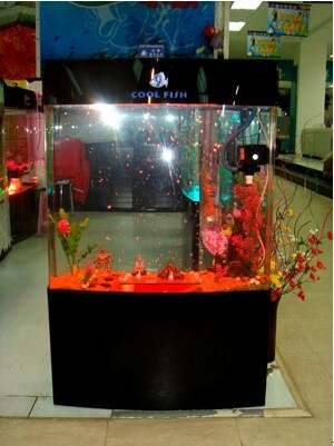 WilliamHill风水与动植物(图7)