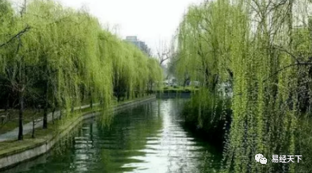 民间植物风水学(图7)