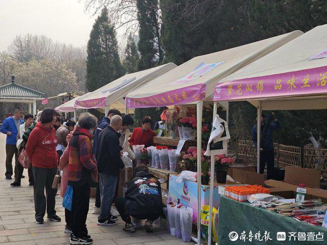 济南百花公园开启“玉兰盛宴”邀您一起共赴花朝！(图4)
