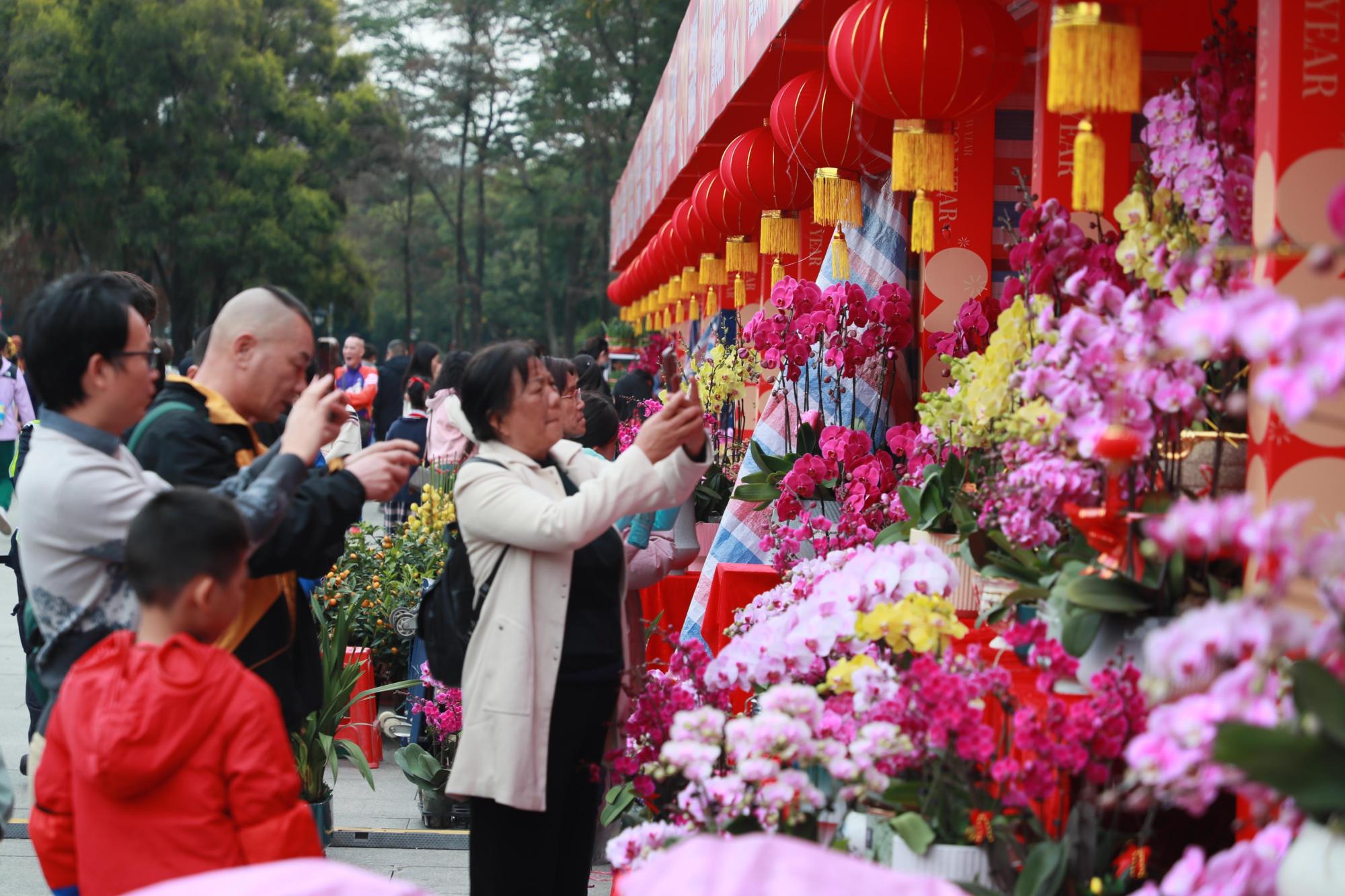 威廉希尔三大会场同时举办！广州黄埔迎春花市开市(图2)