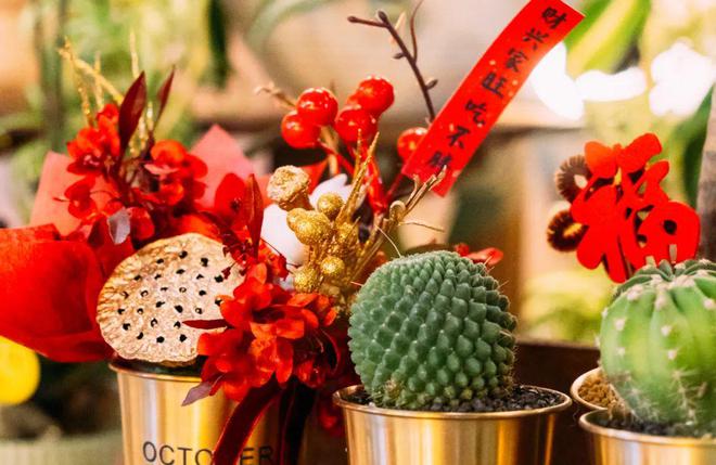 花红柳绿迎新年海口迎春花市年味浓(图6)
