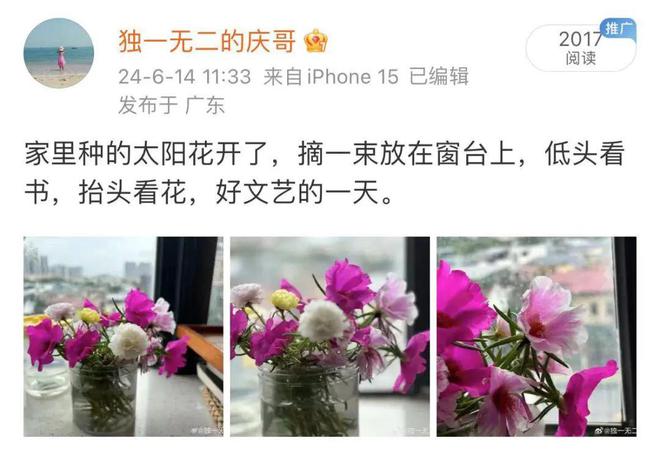 中年女的微改变迭代出好风水(图4)