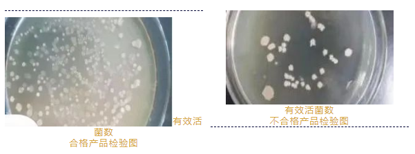 养花人士必看小贴士(图3)