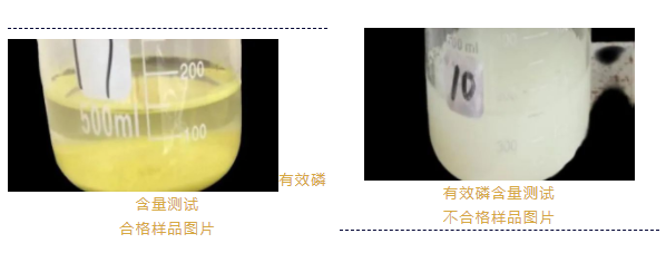 养花人士必看小贴士(图4)
