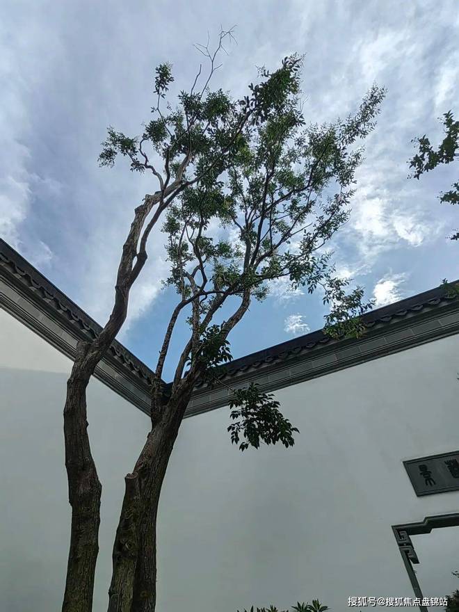 『』上海桃花源四期售楼处发布：上海市区前滩南核心居住区(图9)