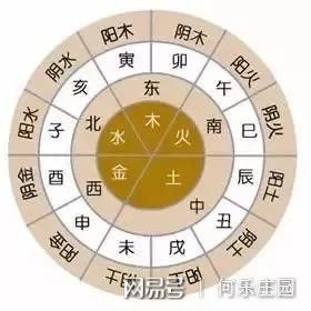 庭院植物风水看这6点就够了(图2)
