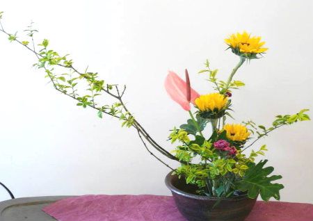 家庭花卉摆放在风水方面有哪威廉希尔些讲究？(图3)