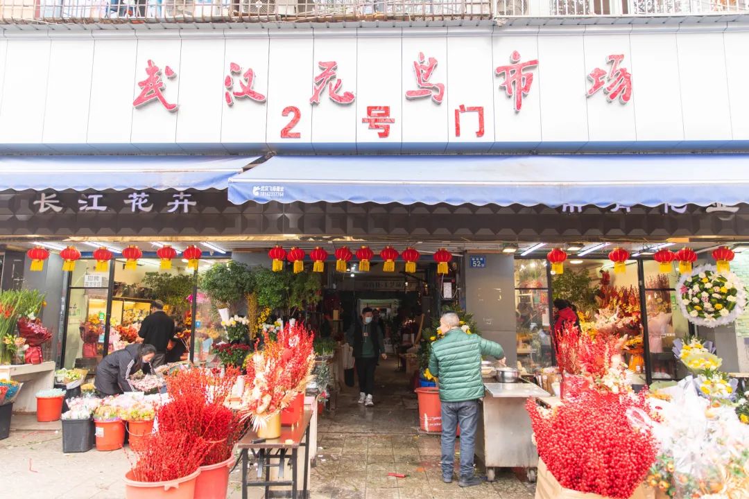 威廉希尔2022年武汉迎春花市明天开幕！春节买花看这条就够了！(图3)