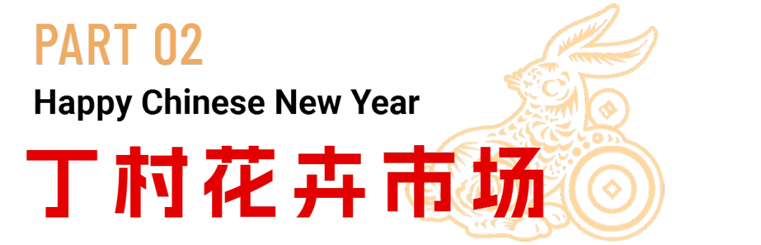 威廉希尔WilliamHill海口迎春花市重磅登场花团锦簇年味足(图3)