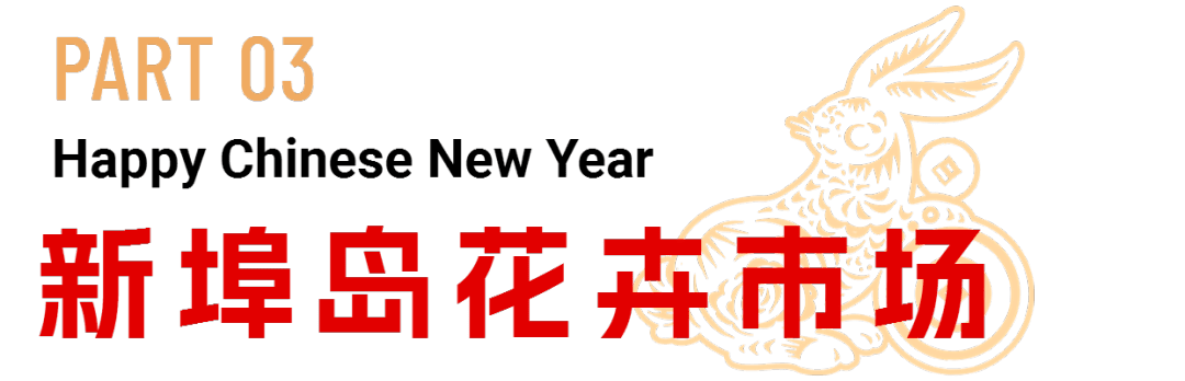 威廉希尔WilliamHill海口迎春花市重磅登场花团锦簇年味足(图6)