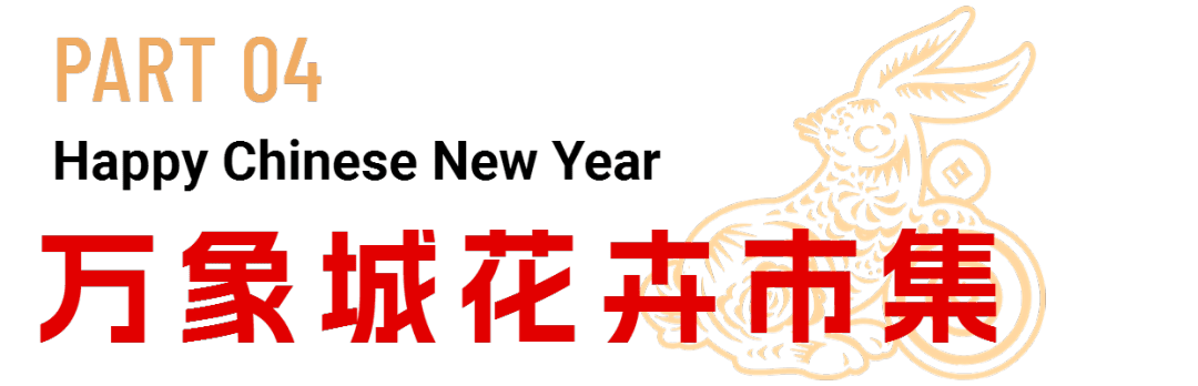 威廉希尔WilliamHill海口迎春花市重磅登场花团锦簇年味足(图9)