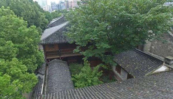 门前种树有“讲究”这3种树一棵都别种万不可犯“禁忌”！(图4)