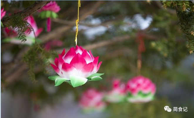 老祖宗说“屋内有三花双手把财抓”三花是指什么？建议了解(图6)