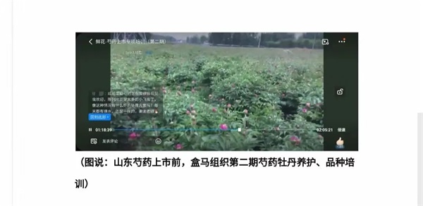 威廉希尔WilliamHill全国性鲜花连锁品牌出现了(图2)