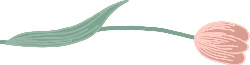 绿植不只是装饰教你摆对风水绿植行WilliamHill好运(图7)