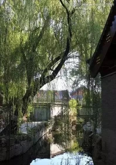 风水顾问李亮德：庭院别墅八大驱邪植物与围墙风水注意事项(图2)