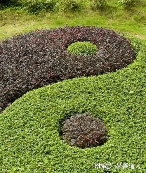 阳宅种树风水揭秘（易善道人）(图2)