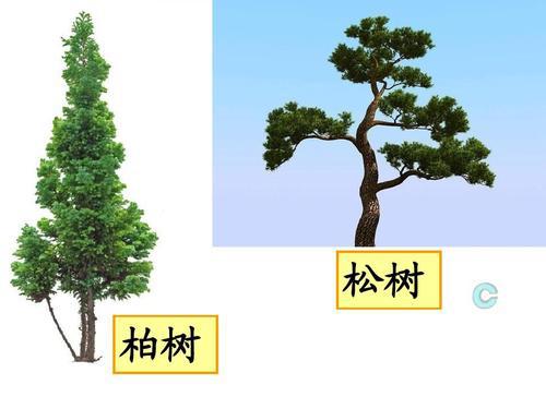 老人常说“五树进宅人穷家败”指的是哪5种树？你家种了吗？(图3)