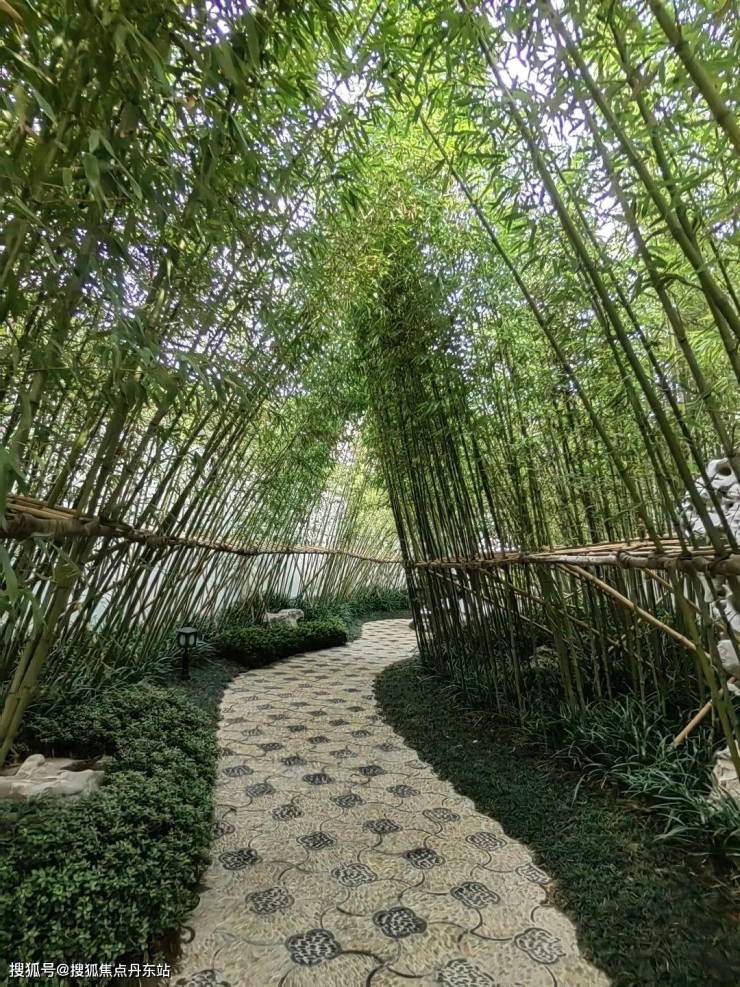 上海桃花源首页网站-上海桃花源2024年最新价格户型-生活配套-楼盘地址WilliamHill(图10)
