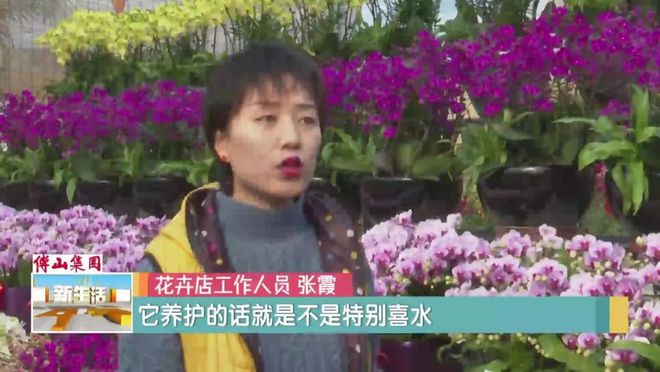 年味渐浓又到买花过年时啦(图2)