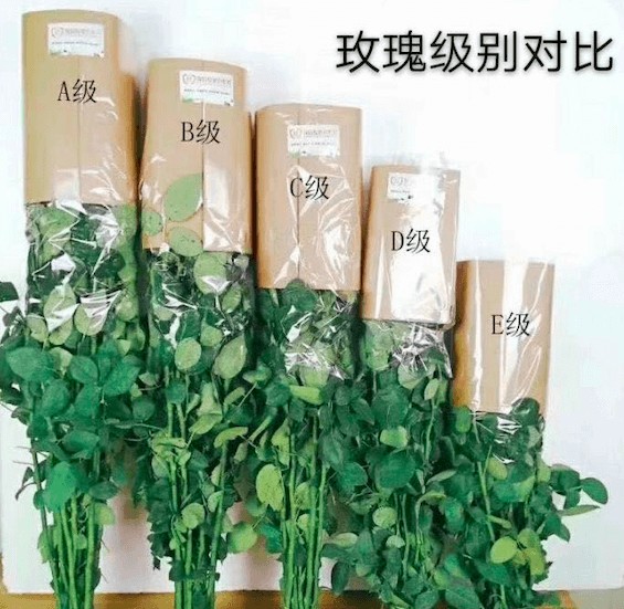 揭秘七夕鲜花乱象：你收到的花多半是C级货威廉希尔(图2)