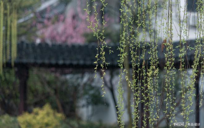 威廉希尔院子里忌讳种什么树？(图4)