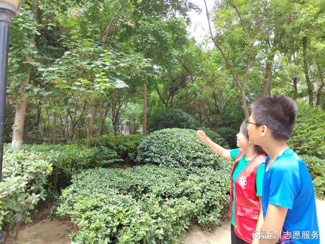 家庭盆栽和户外植物识别宣讲带你走进植物的世界(图3)