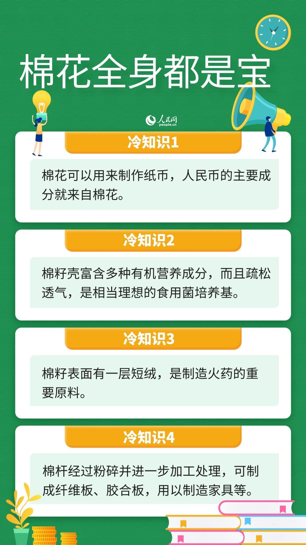 人民币的原料是棉花、棉杆可做家具……这些关于棉花的冷知识你知道吗？(图2)
