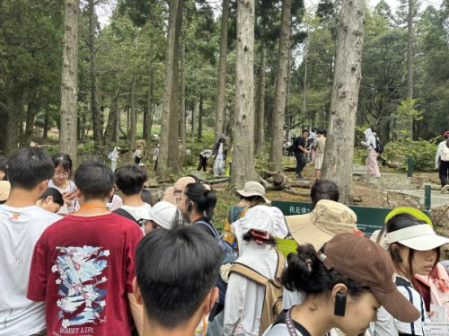 威廉希尔2024全国科普日“科技强国生态江西”庐山植物园圆满举办建园九十年科普活动月(图14)