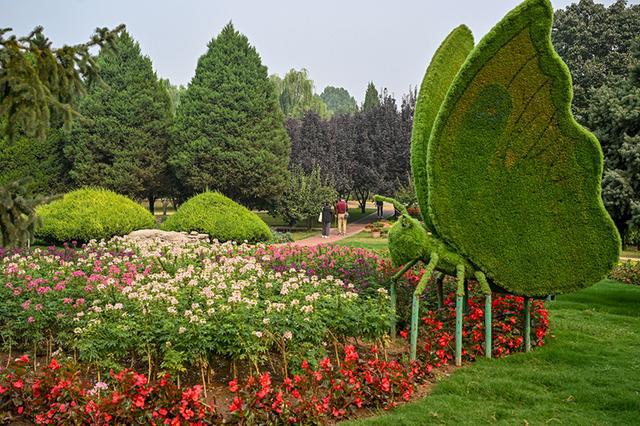 植物园秋季花展邀您赴一场花的盛放派对(图2)