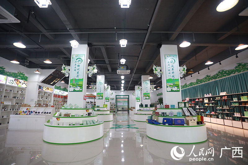 探访广西横州茉莉花产业发展“密码”(图4)