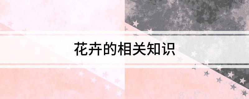 花卉的相关知识(图1)