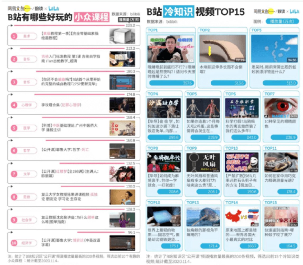 百大UP主第三年知识区抢滩B站(图6)