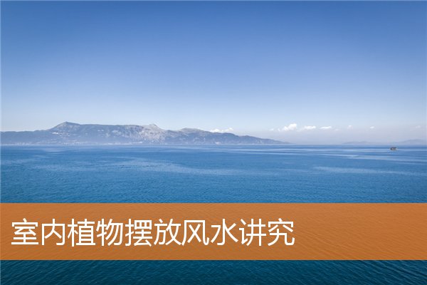 室内植物摆放风水讲究(图1)