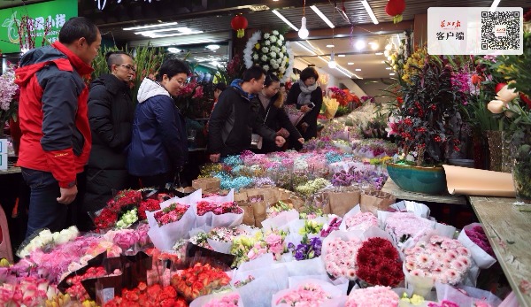 武汉人花了近9千万买花过年最爱购买这十大花卉(图2)