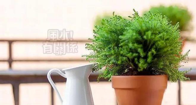 威廉希尔这三件东西最好别带回家聪明人白给都不会要！(图3)