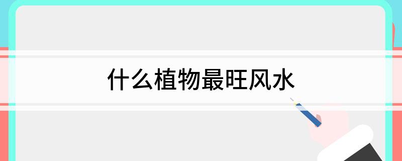 什么植物最旺风水(图1)