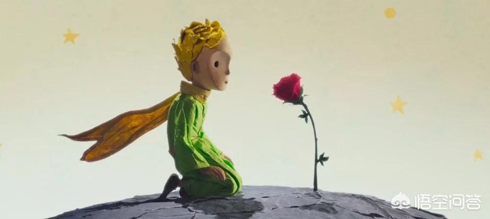 有哪些关于花的知识值得了解？(图2)