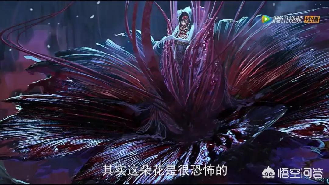 有哪些关于花的知识值得了解？(图7)