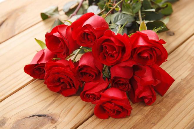第三篇：花的奥秘植物探秘：探索奇妙的绿色世界(图4)