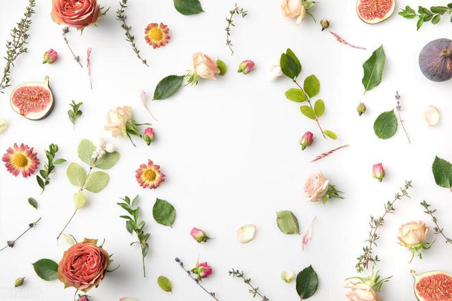 第三篇：花的奥秘植物探秘：探索奇妙的绿色世界(图3)